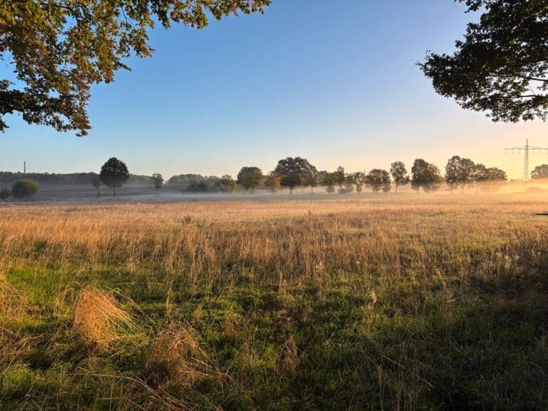 2,5 ha Extensivweide zu verpachten