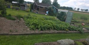 Kleingartenparadies zu verpachten – 240 m² Natur & Erholung! – Foto 2