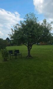 Kleingartenparadies zu verpachten – 240 m² Natur & Erholung! – Foto 5
