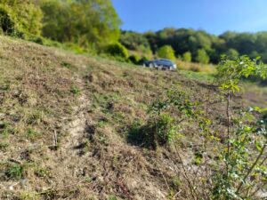 Verpachtung eines Grundstücks in Senheim – Foto 4