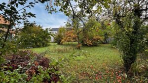 Gartengrundstück in Stadtnähe zu verpachten – Foto 2