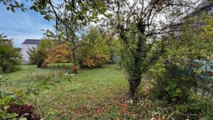 Gartengrundstück in Stadtnähe zu verpachten – Foto 3