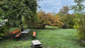 Gartengrundstück in Stadtnähe zu verpachten – Foto 4