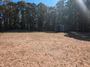 Offenstall mit Unterstand und Wiese zu verpachten – Foto 2