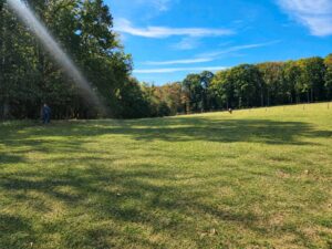 Offenstall mit Unterstand und Wiese zu verpachten – Foto 5