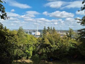 idyllisch gelegenes Gartengrundstück zu verpachten – Foto 2