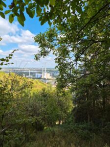 idyllisch gelegenes Gartengrundstück zu verpachten – Foto 3