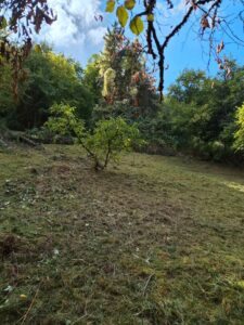 idyllisch gelegenes Gartengrundstück zu verpachten – Foto 4