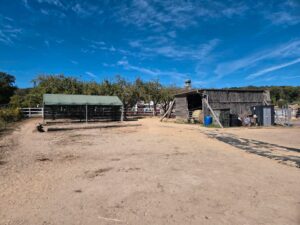 Offenstall mit Unterstand und Wiese zu verpachten – Foto 2