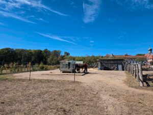 Offenstall mit Unterstand und Wiese zu verpachten – Foto 3