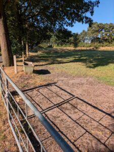 Stall mit Wiese/Wiesen zur Verpachtung - ideal für Pferdehaltung – Foto 2