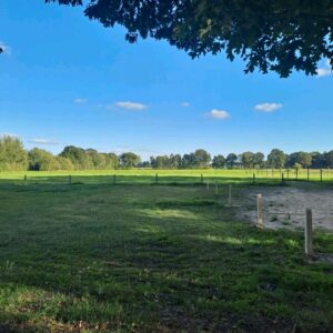 Stall mit Wiese/Wiesen zur Verpachtung - ideal für Pferdehaltung – Foto 3