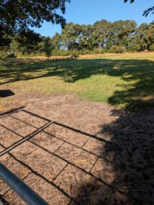 Stall mit Wiese/Wiesen zur Verpachtung - ideal für Pferdehaltung – Foto 5