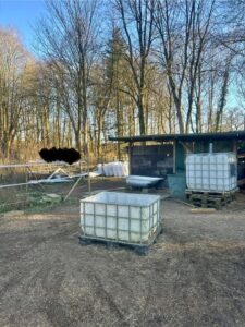 Offenstall mit Koppel zu verpachten – Foto 3