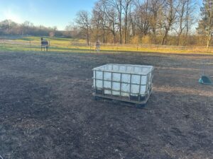 Offenstall mit Koppel zu verpachten – Foto 4
