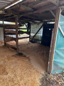 Offenstall mit Koppel zu verpachten – Foto 5