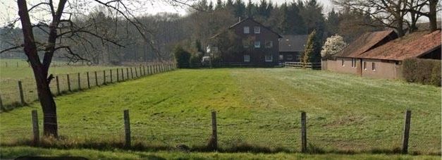 Weidefläche zu verpachten (Pferde, Lamas, Alpakas, Schafe etc.)