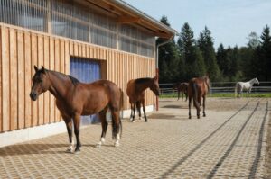 Reitanlage in Bayern (grenznah zu Österreich) zu verpachten