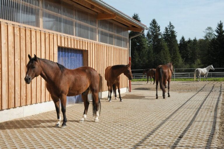 Reitanlage in Bayern (grenznah zu Österreich) zu verpachten