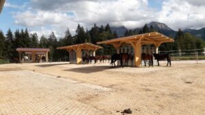 Reitanlage in Bayern (grenznah zu Österreich) zu verpachten – Foto 3