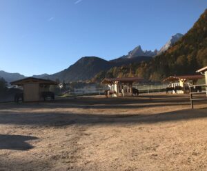 Reitanlage in Bayern (grenznah zu Österreich) zu verpachten – Foto 4