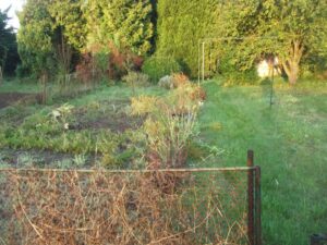 Garten zu verpachten – Foto 2