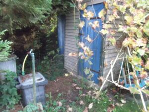 Garten zu verpachten – Foto 3
