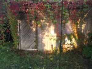 Garten zu verpachten – Foto 4