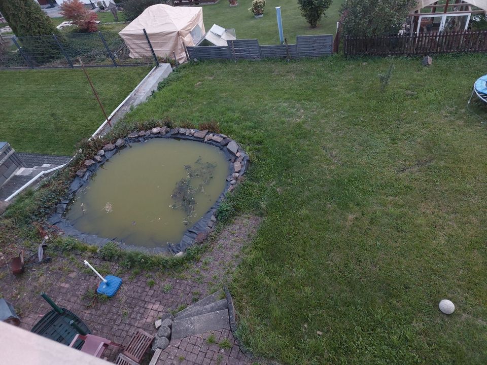 Garten in Kreuztal zu verpachten, 250 qm, ideal für Gartenfreunde