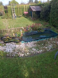 Kleingarten zu verpachten " Kolonie am See" – Foto 3