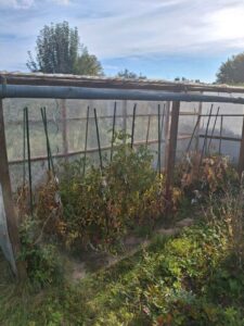 Kleingarten zu verpachten " Kolonie am See" – Foto 5