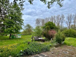 Gartengrundstück mit kleinem Häuschen zu verpachten – Foto 3