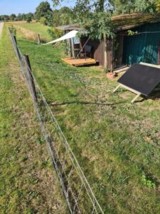 Gartengrundstück mit kleinem Häuschen zu verpachten – Foto 5