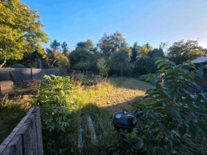 Freizeitgrundstück in Meisenheim 300m² zu verpachten. – Foto 2