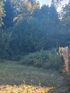 Freizeitgrundstück in Meisenheim 300m² zu verpachten. – Foto 3