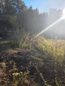 Freizeitgrundstück in Meisenheim 300m² zu verpachten. – Foto 4