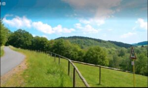 Wald Weide 1,49 ha zu verkaufen oder Wald zu verpachten