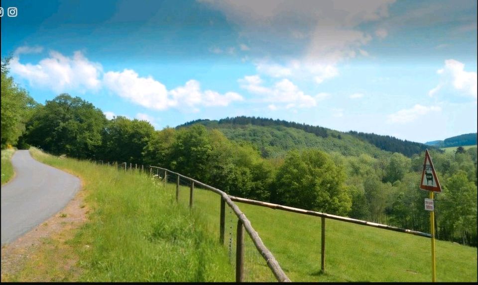 Wald Weide 1,49 ha zu verkaufen oder Wald zu verpachten