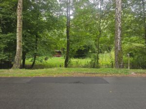 Freizeitgrundstück Grebenstein zu verpachten – 400m² +Gartenhütte – Foto 2