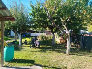 Kleingarten zu verpachten – Foto 2