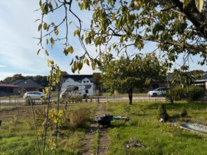 Schrebergarten in Hohenlockstedt zu verpachten