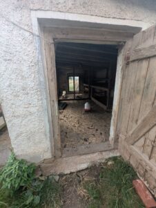 Alte Hofstelle mit Stallungen &Scheune zu verpachten – Foto 4