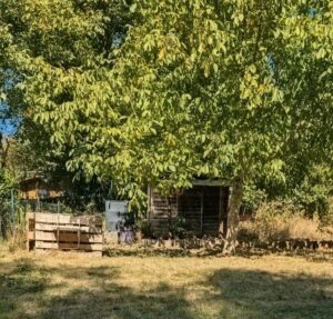 Gartengrundstück ca. 400 m² in 76327 Pfinztal zu verpachten – Foto 4