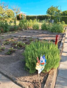 Pachtgarten ( Verein ) in der Südstadt – Foto 4