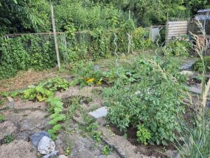 Garten Pachtgarten Kleingarten – Foto 4
