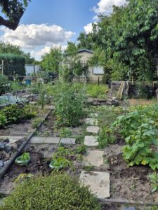 Garten Pachtgarten Kleingarten – Foto 5