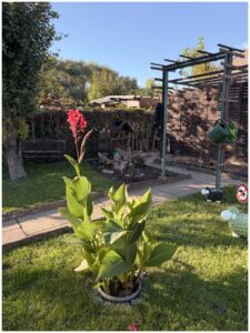 Pachtgarten – Foto 3