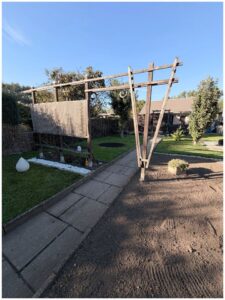 Pachtgarten – Foto 4