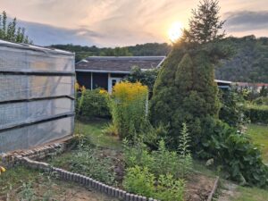 wunderschönen sonnigen Pachtgarten abzugeben – Foto 2