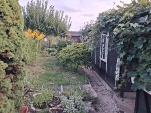 wunderschönen sonnigen Pachtgarten abzugeben – Foto 4